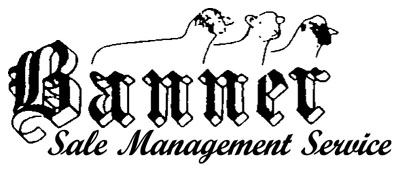 Banner Sale Management Logo